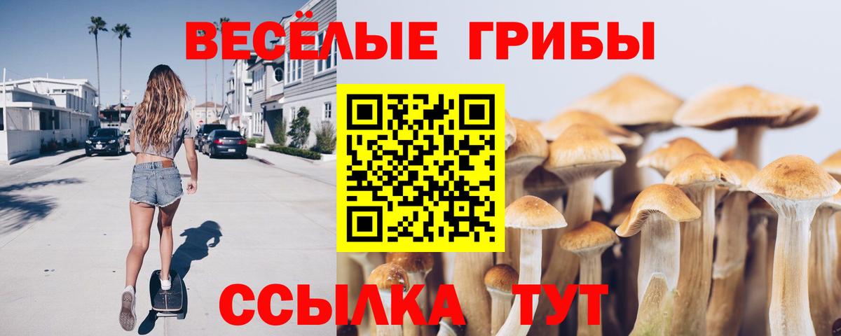 Галлюциногенные грибы Magic Shrooms Петрозаводск