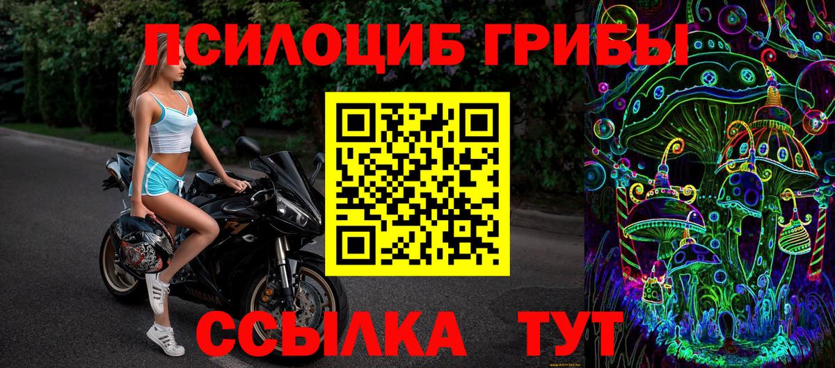 Галлюциногенные грибы Psilocybe  Галлюциногенные грибы ЛСД  Петрозаводск  Вход с VPN 